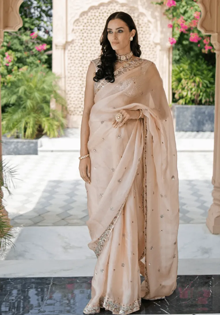 Blush Pink Mirror Embellished Organza Saree Set