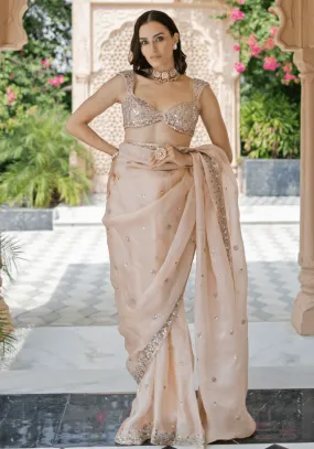 Blush Pink Mirror Embellished Organza Saree Set