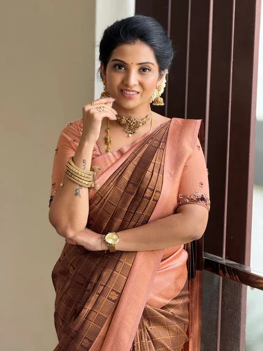 Confounding Brown Soft Silk Saree With Ratatouille Blouse Piece